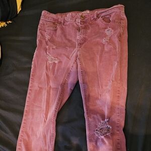 Refuge Women's Skinny Jeans in Pink